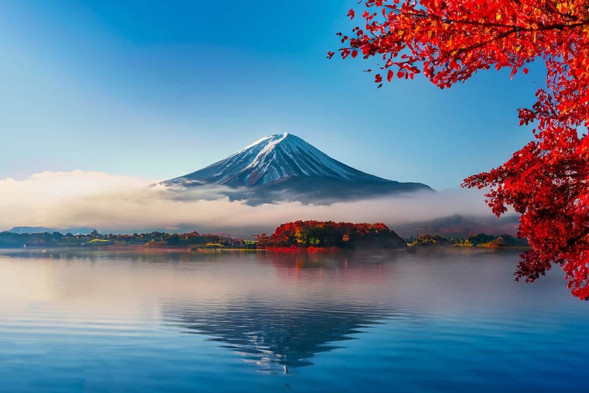 Mount Fuji with a lake and trees
